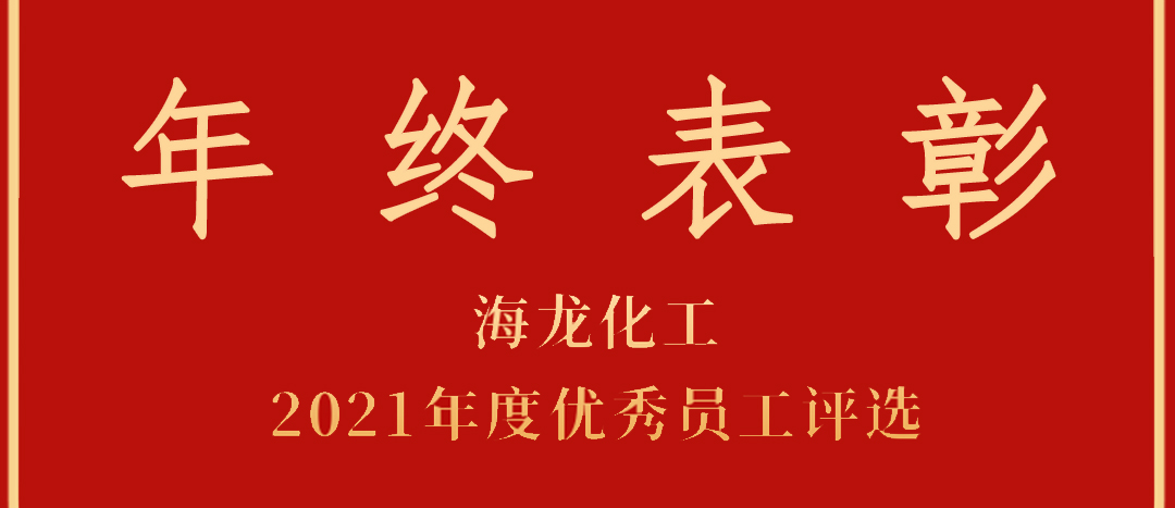 <strong>表彰！海龍化工2021年度優(yōu)秀員工優(yōu)秀部門評選</strong>